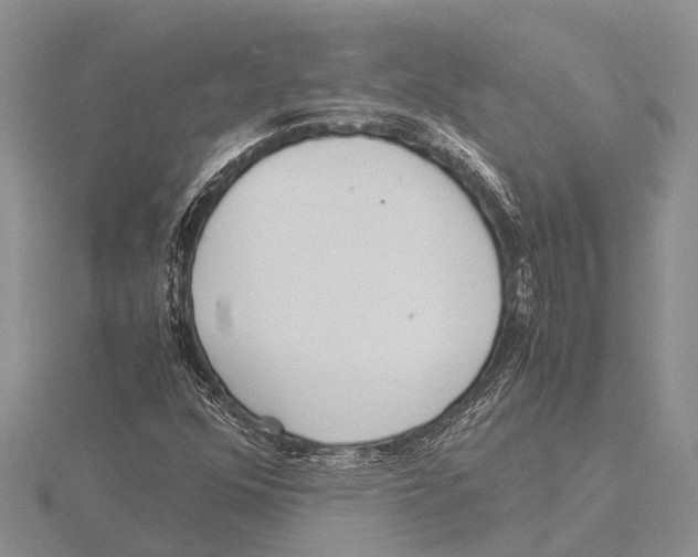 X0000115621352200912081014