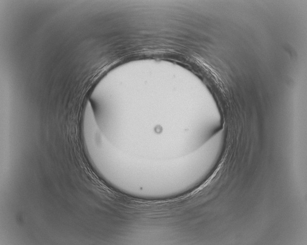 X0000115621353200912081014