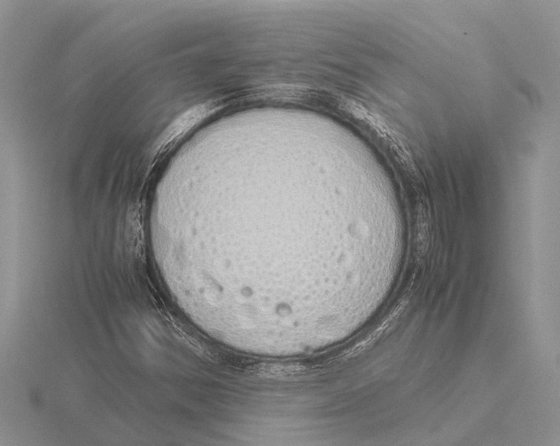 X0000115621354200912081014