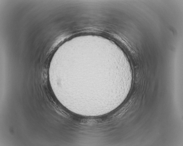 X0000115621355200912081014