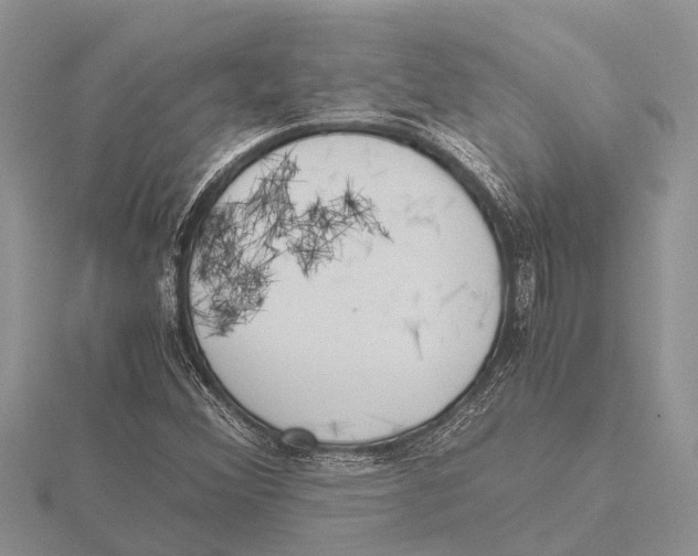 X0000115621356200912081014