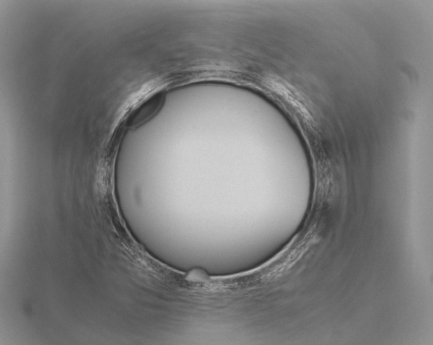 X0000115621357200912081014