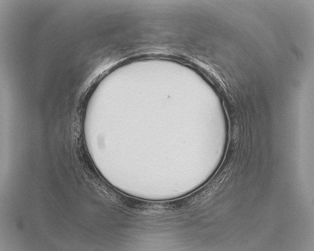 X0000115621359200912081014