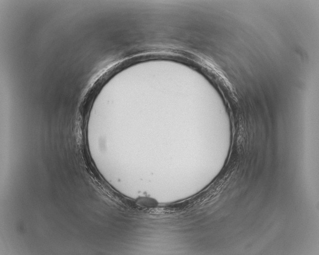 X0000115621360200912081014