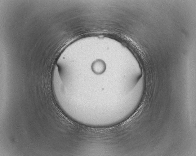 X0000115621361200912081014