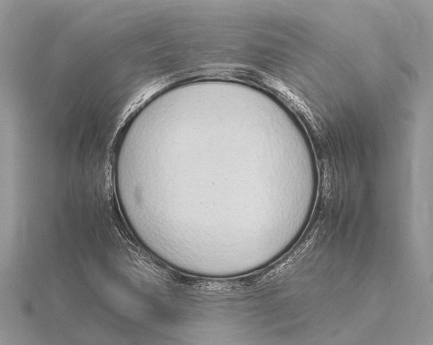 X0000115621362200912081014