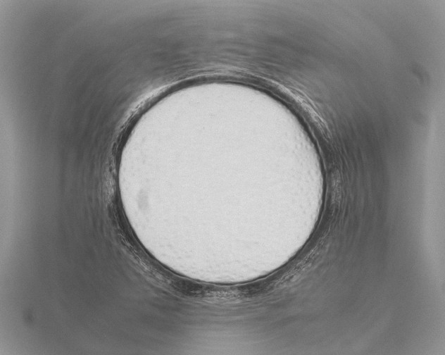 X0000115621363200912081014