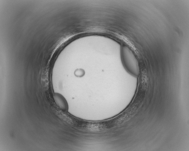 X0000115621364200912081014