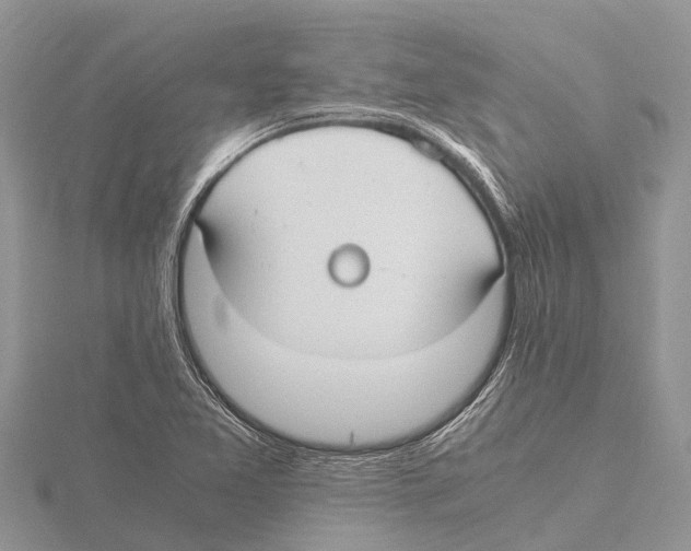 X0000115621365200912081014