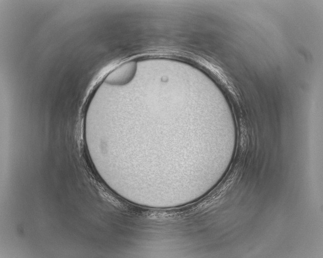 X0000115621366200912081014