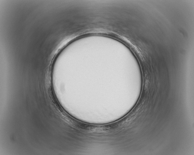 X0000115621367200912081014