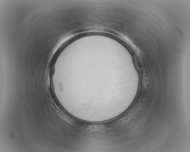 X0000115621368200912081014