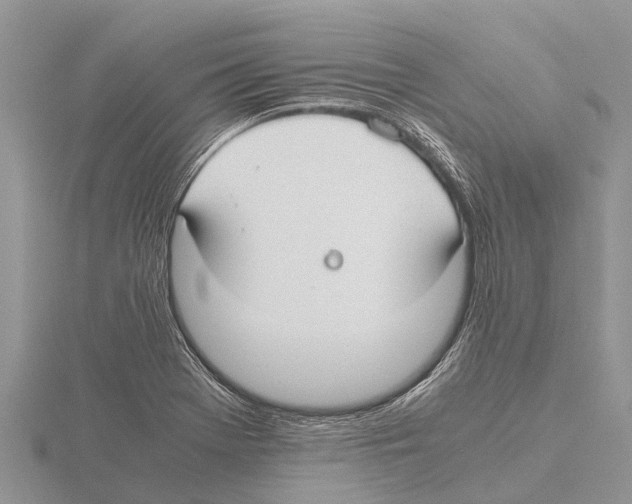 X0000115621369200912081014