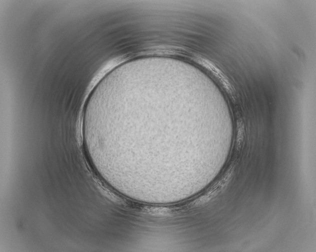 X0000115621370200912081014