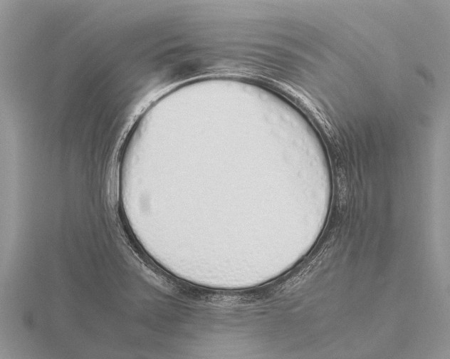 X0000115621371200912081014