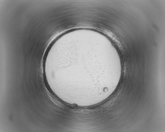 X0000115621372200912081014