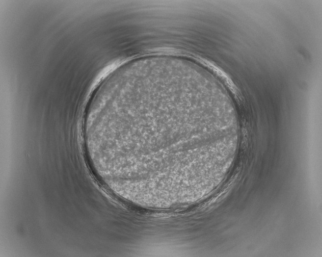 X0000115621373200912081014