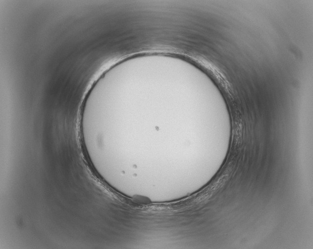 X0000115621374200912081014