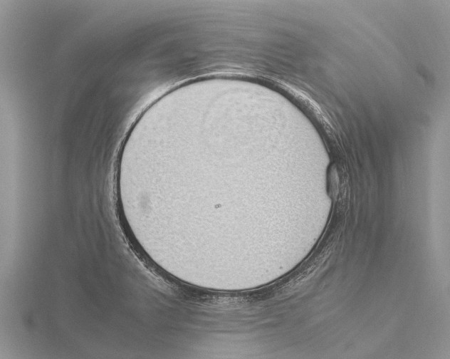 X0000115621375200912081014