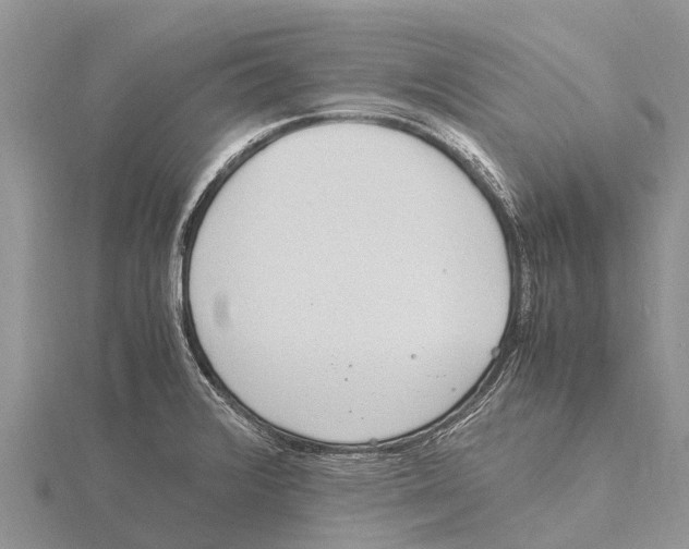 X0000115621376200912081014