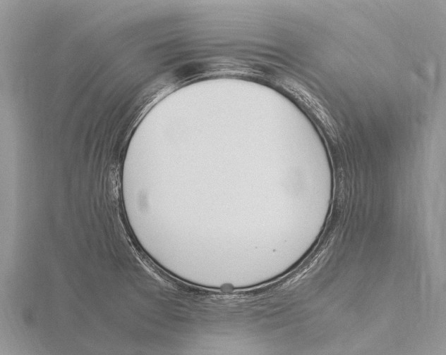 X0000115621377200912081014