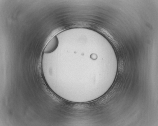 X0000115621378200912081014