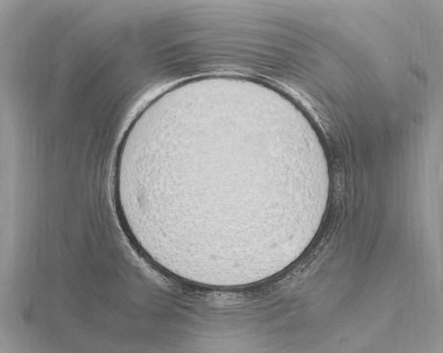 X0000115621379200912081014