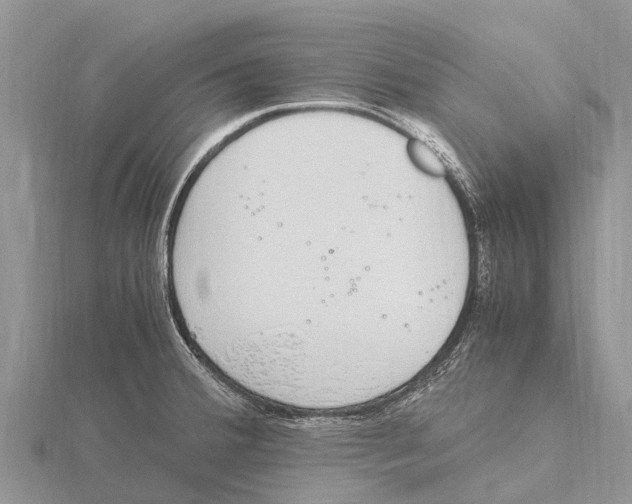 X0000115621380200912081014