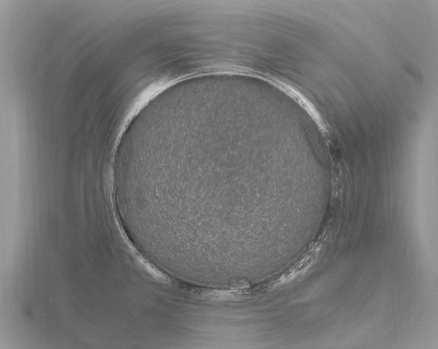 X0000115621381200912081014