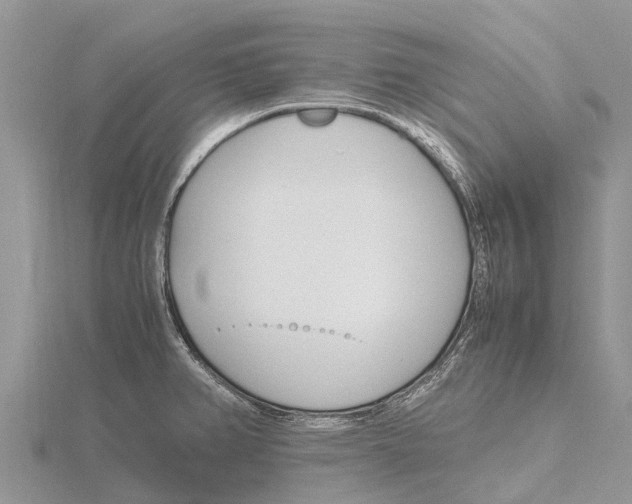 X0000115621382200912081014