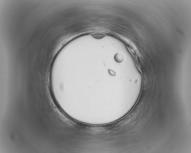 X0000115621383200912081014