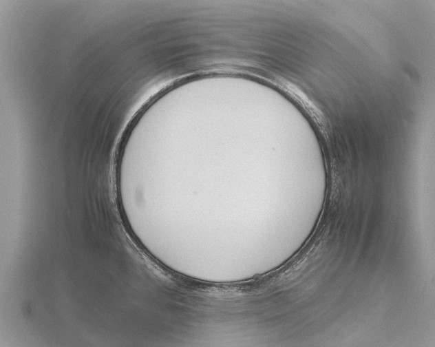 X0000115621384200912081014