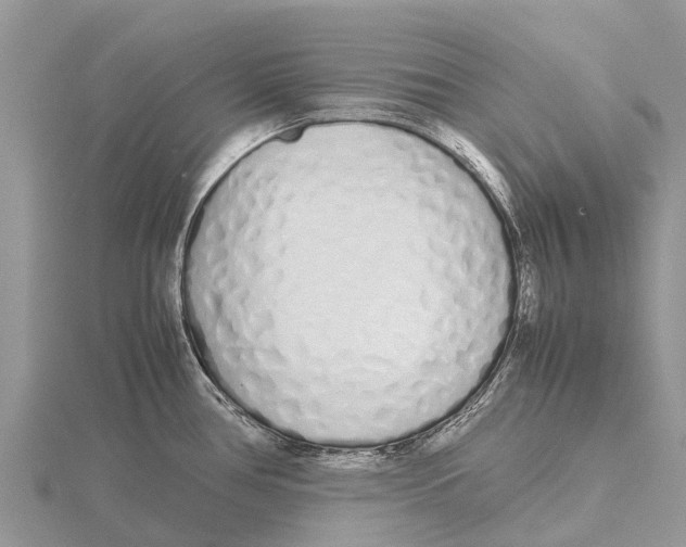 X0000115621386200912081014