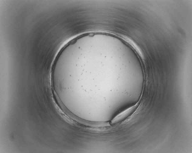 X0000115621388200912081014