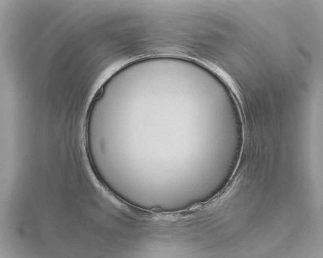 X0000115621389200912081014