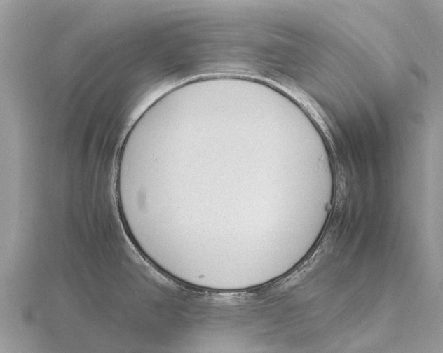 X0000115621390200912081014