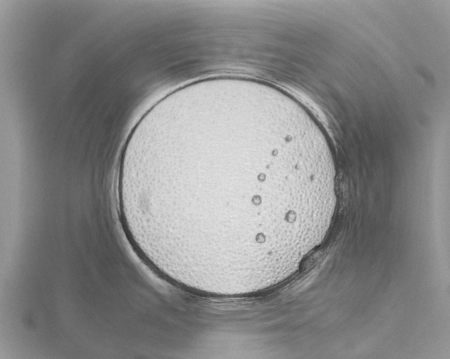 X0000115621391200912081014