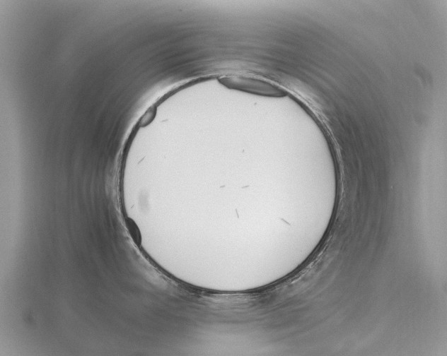 X0000115621392200912081014