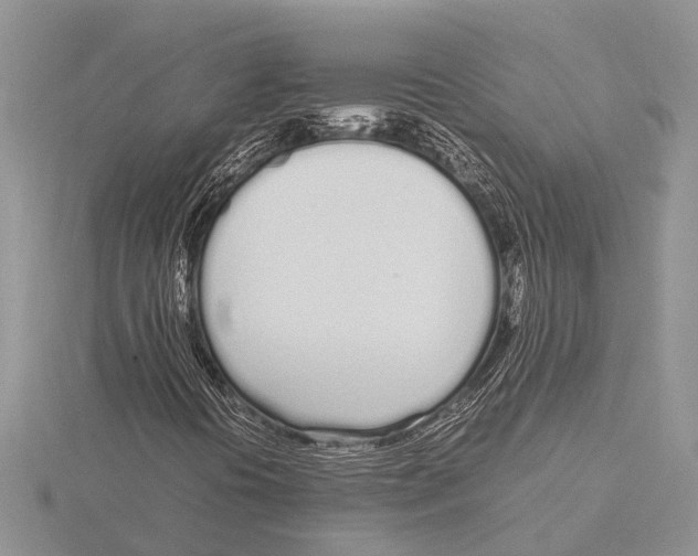 X0000115621394200912081013