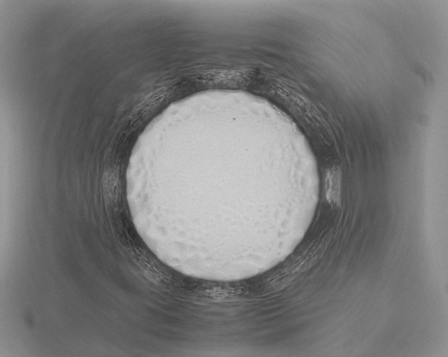 X0000115621395200912081013