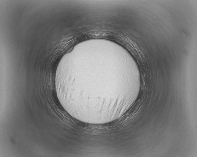 X0000115621396200912081013