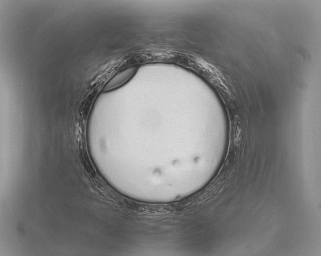 X0000115621397200912081013