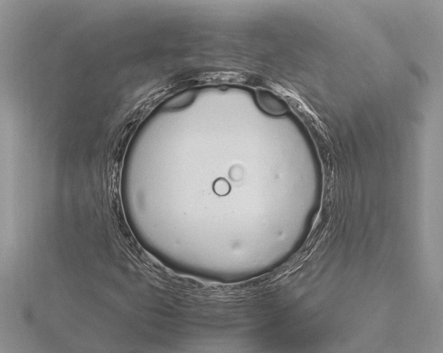 X0000115621399200912081013