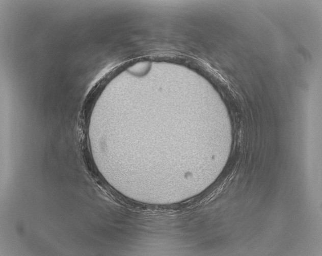 X0000115621400200912081013