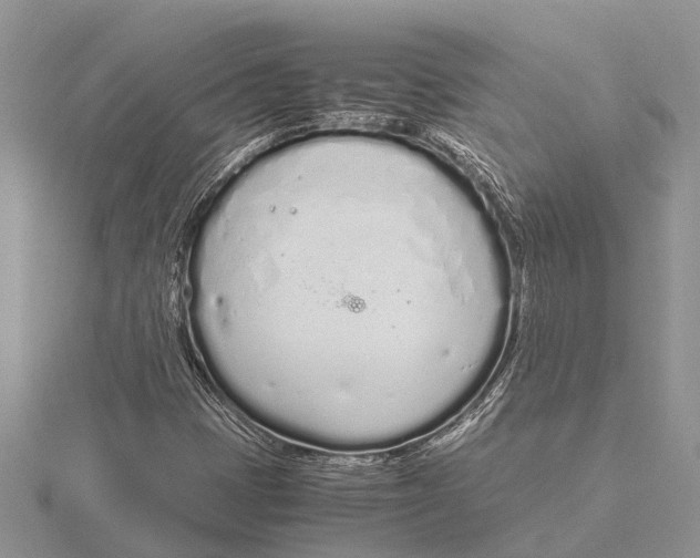 X0000115621401200912081013