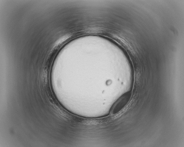 X0000115621402200912081013