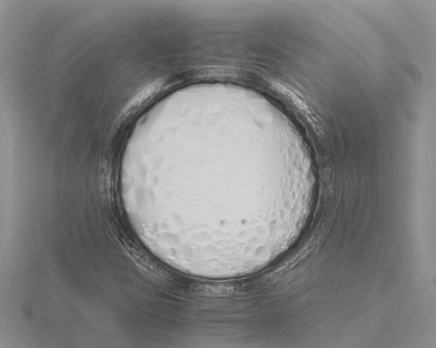 X0000115621403200912081013