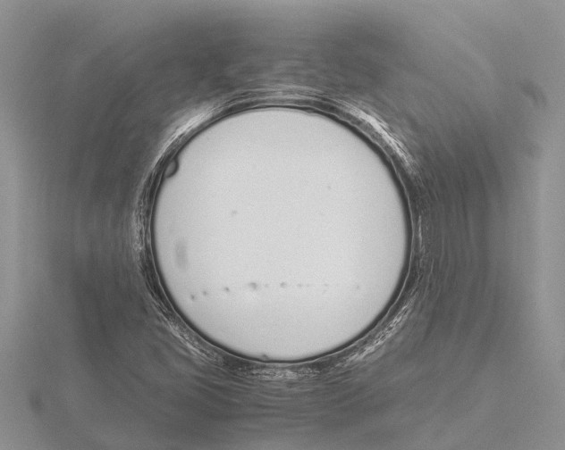 X0000115621405200912081013