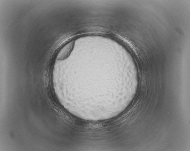 X0000115621407200912081013