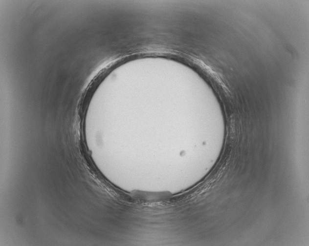 X0000115621408200912081013